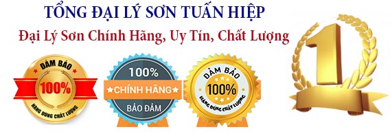 son chinh hang